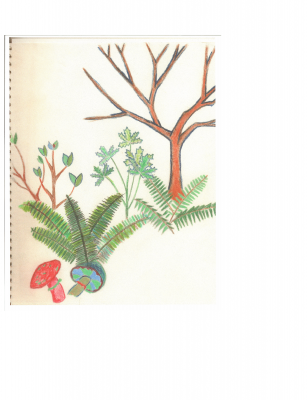 page_000018.png