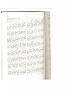 page_000040.png