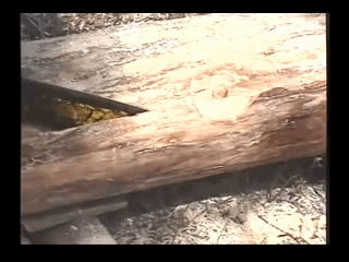 Jesus Christ Super Star.gif