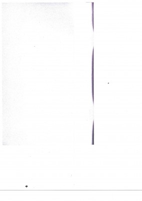 scanwill0001.jpg
