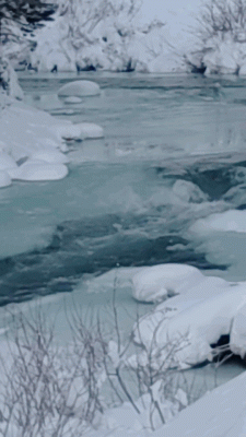 Twisp River 2022.gif (16.39 MiB) Viewed 46469 times Twisp River 05 January 2022