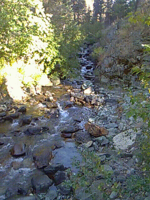 gilbert_creek.gif (59.77 MiB) Viewed 85164 times Gilbert Mountain North Creek Trail