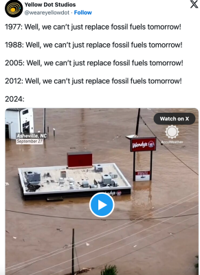 Screen Shot 2024-10-04 at 7.34.28 AM.png