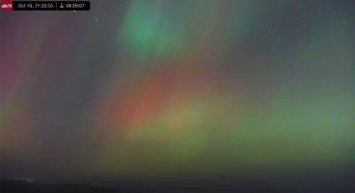 Screen Shot 2024-10-10 at 2.34.48 PM.png