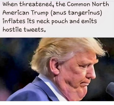 Screenshot 2025-08-03 at 4.30.05 PM.jpeg