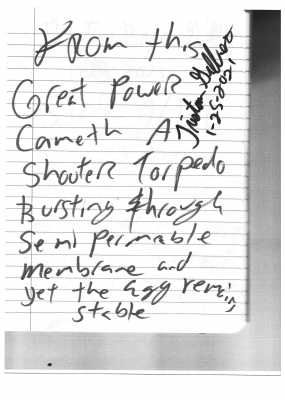 page_000013.png