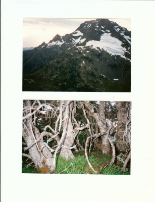 page_000079.png