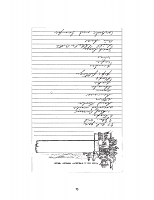 page_000077.png